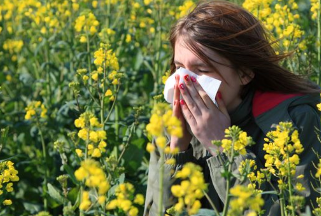 Les allergies au pollen